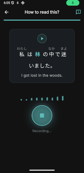 Lingolix App - Learning Interface